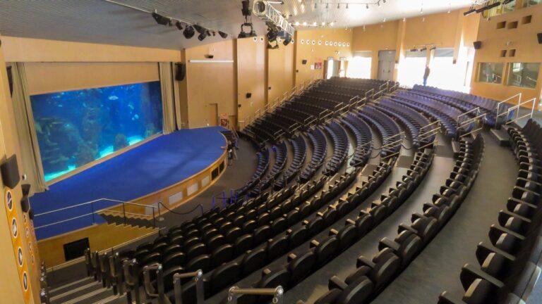 oceanografic-valencia-1lieu1salle-events.jpg