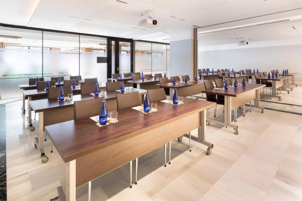melia-costa-del-sol-1lieu1salle-seminaires.jpg