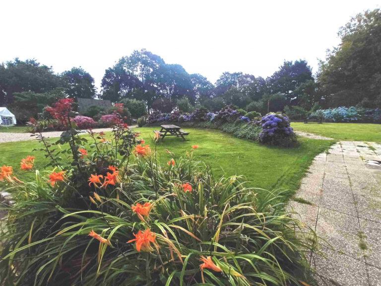 jardin-fleurs-scaled-1.jpeg