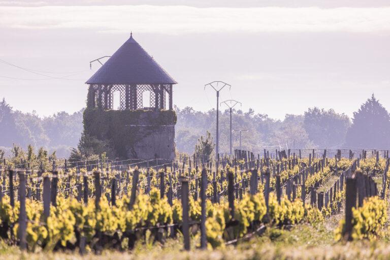 Chateau-Senejac-2024.05-Exterieurs-80.jpg