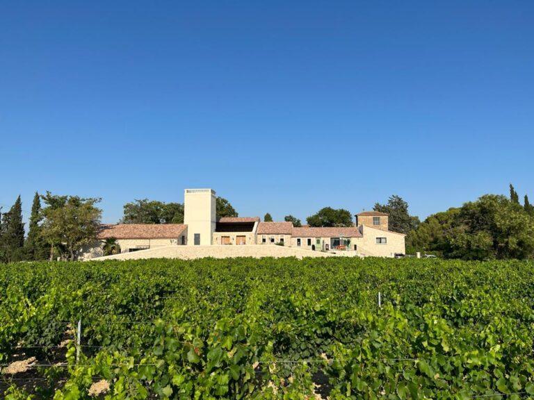 IMG_7273.jpg