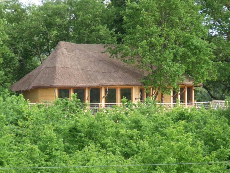 Salle-dans-les-arbres-4-scaled-1.jpg