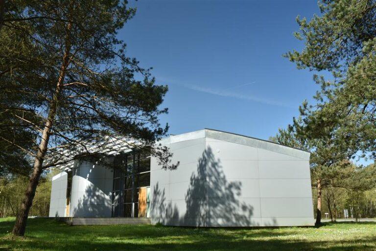image-6.jpg