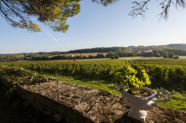 2015-09-24-Hostens-Picant-Portraits-Report-003-scaled-1.jpg