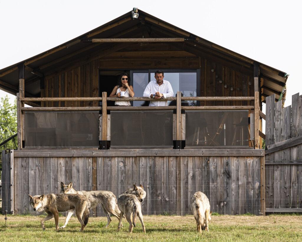 Lodge-Loups-scaled-1.jpg