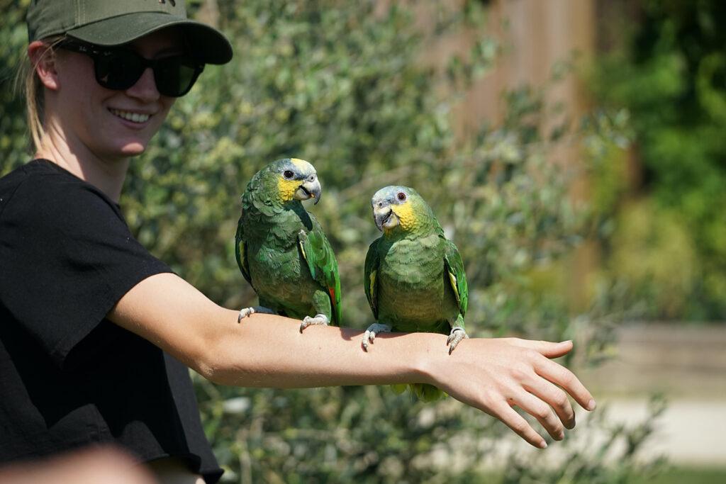 amazones-entre-le-3-et-le-4-scaled-1.jpg
