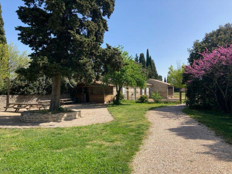 terrasse-Ete-les-cabanes-dans-les-bois-carcassonne-6.jpg