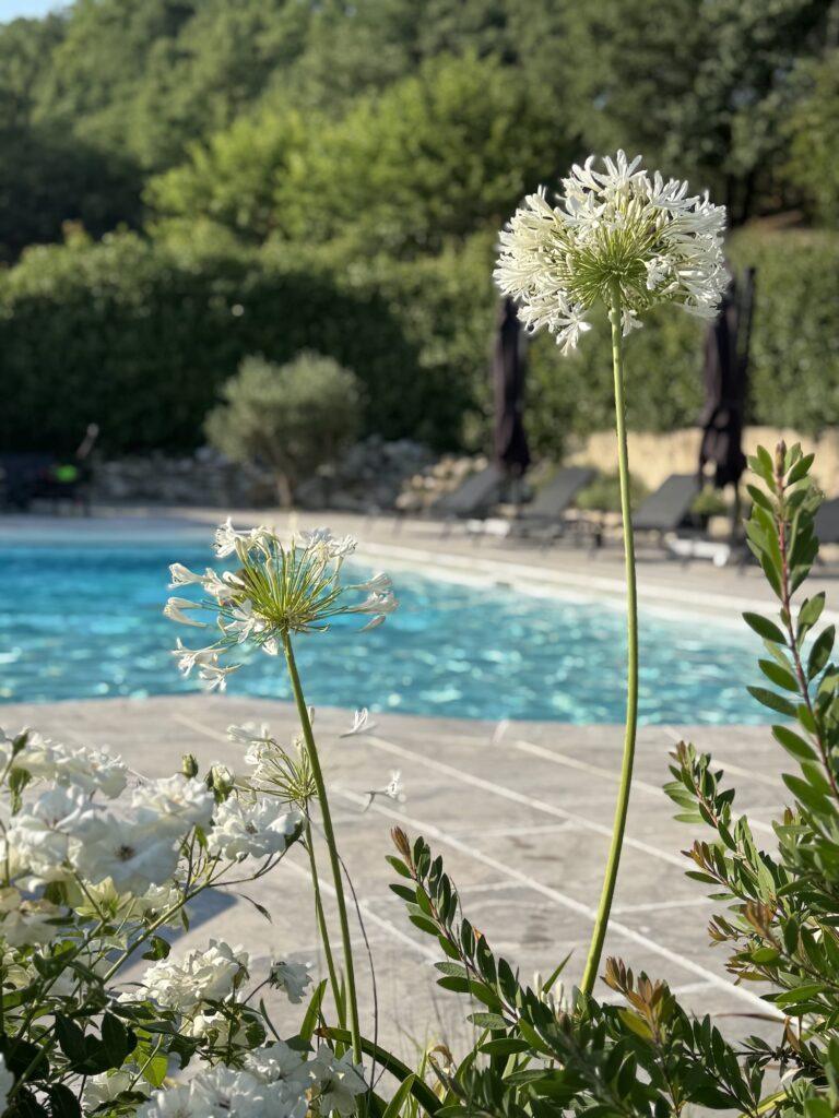 Activites-Piscine-03.jpg